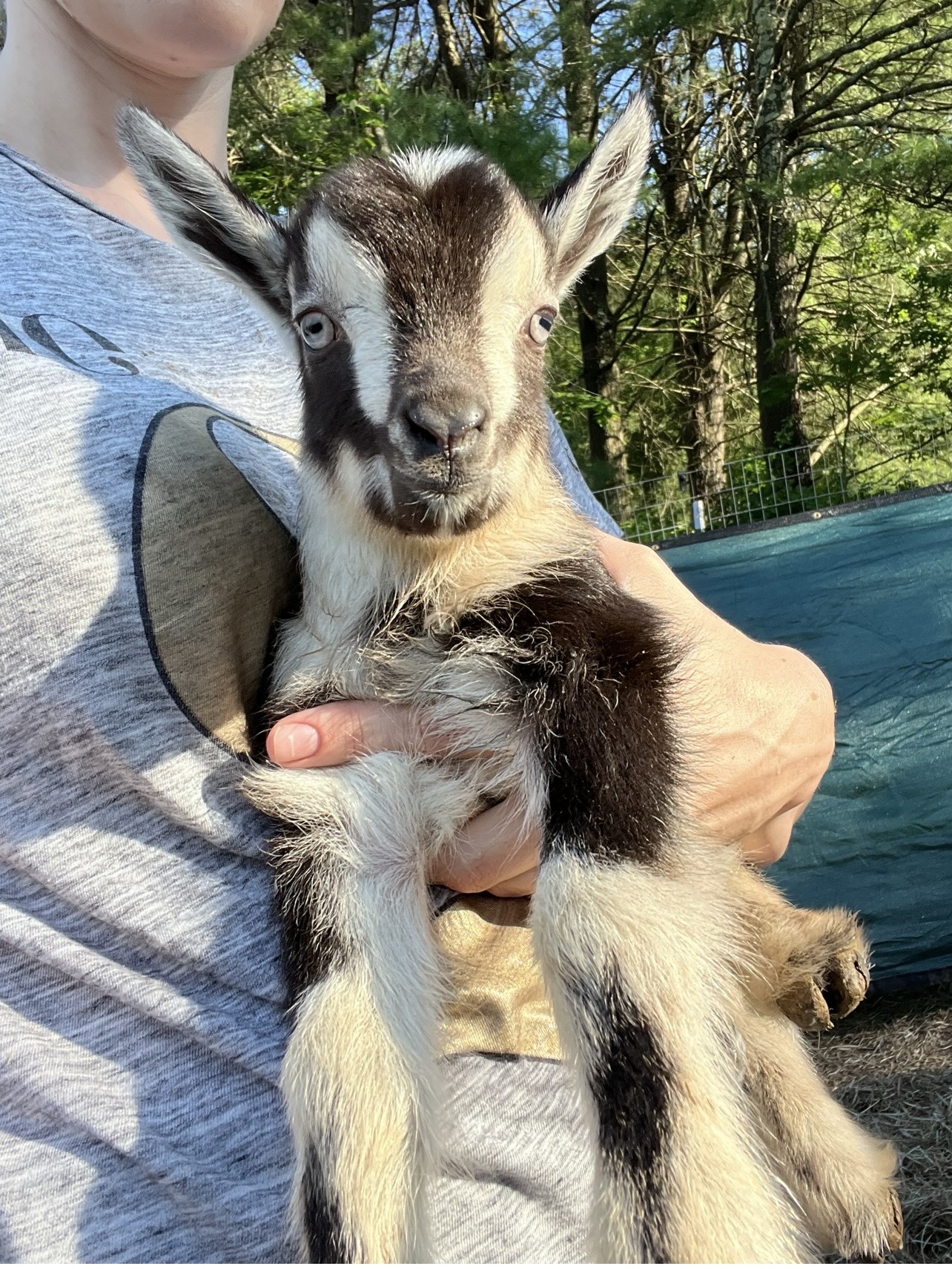 Sustainable food image 3