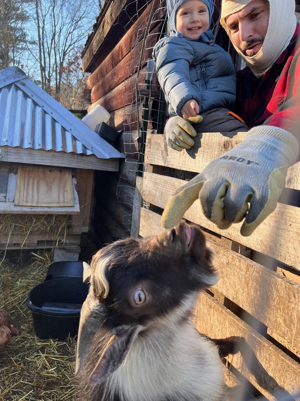 Visitor petting a goat on the farm
